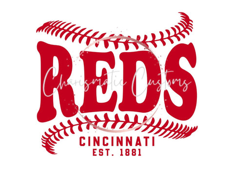 ⚾️ design pictured!