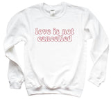 “Love Is Not Cancelled”- Valentine’s Day