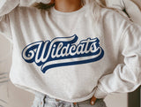 Wildcats 🏀